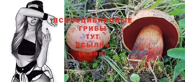 спайс Кодинск