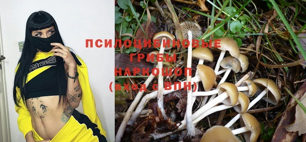спайс Кодинск