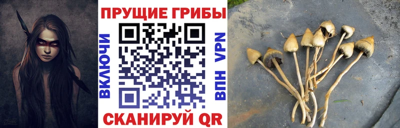мега как зайти  Лодейное Поле  Галлюциногенные грибы прущие грибы 